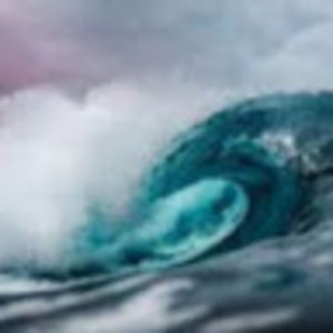 Meet your Posher, Avery